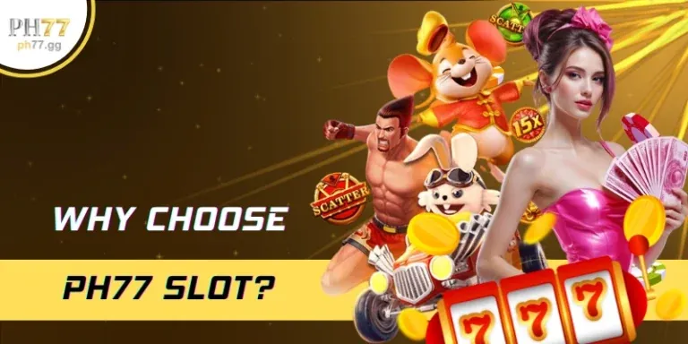 tt da ga review thực tế